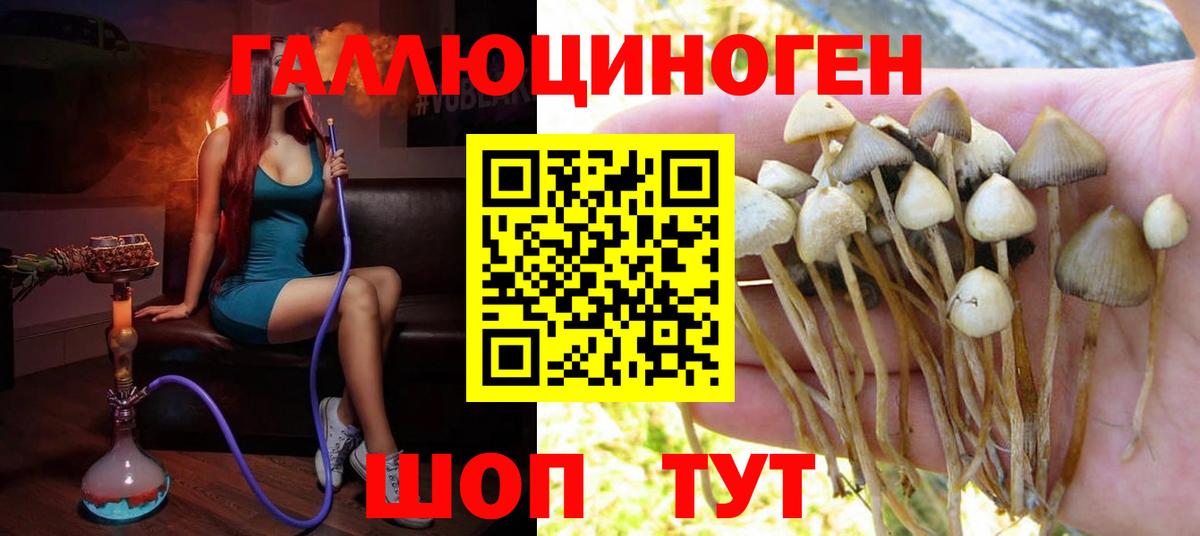 Галлюциногенные грибы Cubensis Шахты